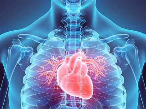 Cardiology Cardiologists Cardiac Surgery Camc Heart Care
