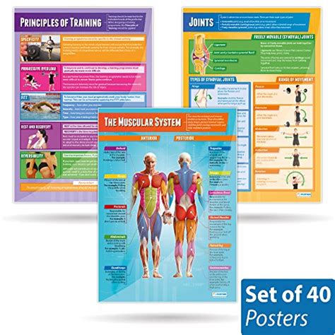 Buy Physical Education S Set Of 40 Pe S Gloss Paper Measuring