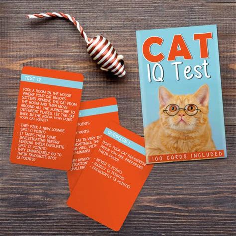 Cat Iq Test Cards Iwoot Uk