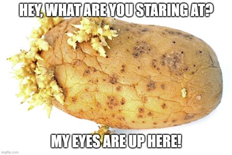 Just A Little Potato Humor For Your Day Imgflip