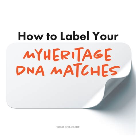 How To Label Your Myheritage Dna Matches Your Dna Guide Diahan Southard