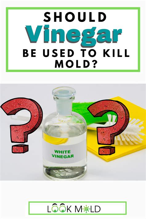 Does Vinegar Kill Mold What You Need To Know Cleaning Diy Household