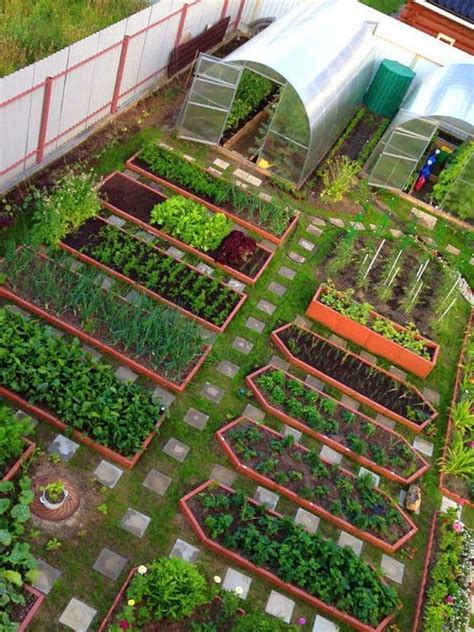 Kebun Sayur Mini Di Belakang Rumah Week Of Mourning