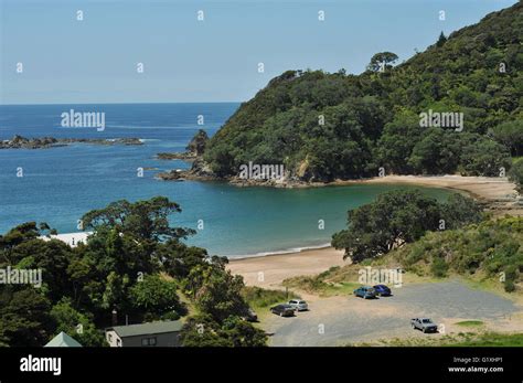 Little Bay On Coromandel Peninsula In New Zealand Stock Photo Alamy