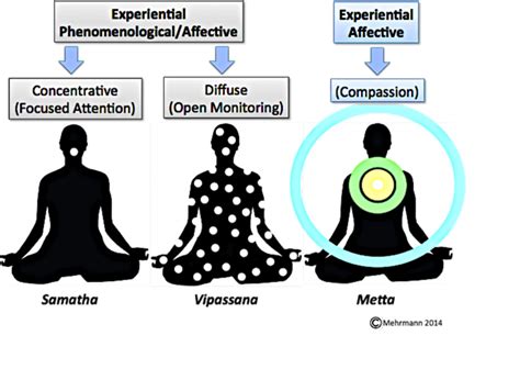 Open Monitoring And Focused Meditation Alter Different Brain Systems