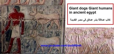 Forbidden History Of Ancient Egypt The Giant Humans Ancient History