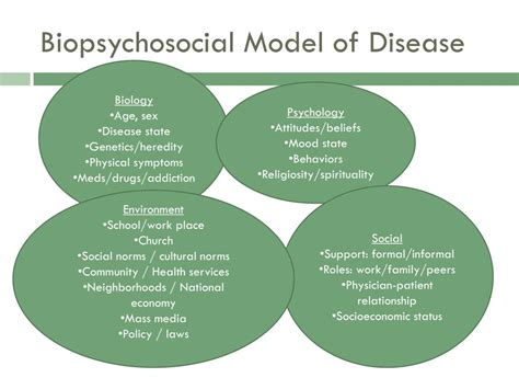 Ppt Biopsychosocial Model Of Disease Powerpoint Presentation Free