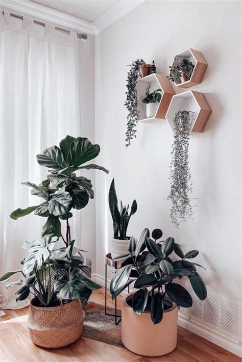 How To Decorate A Corner With Plants Leadersrooms