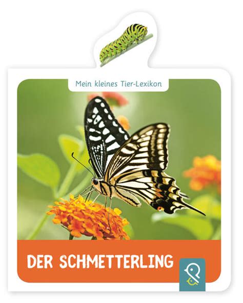 Der Schmetterling Das Honighäuschen In Bonn