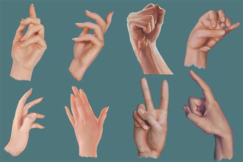 Male And Female Hand Studies Hand Reference Anatomy Reference Hand
