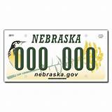 Free Michigan License Plate Number Lookup Photos