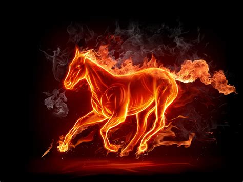 44 Fire Horse Wallpapers Wallpapersafari