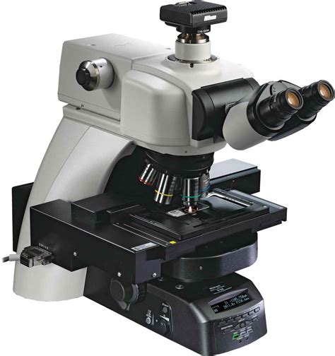 Upright Microscopes Nikon Microscopy