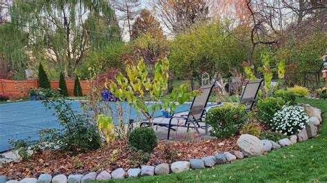 Mid November Garden Walkabout Vlog 🥀🍂🪹// Suburban Oasis - YouTube