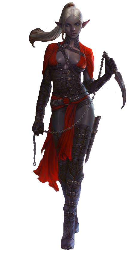 f Drow Elf Rogue Thief Leather Armor Cloak Daggers urban City undercity png image