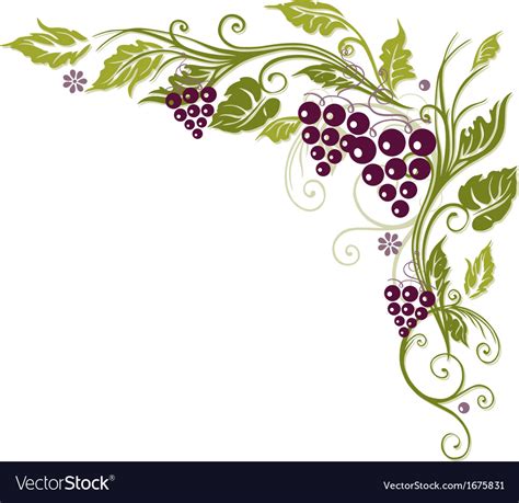 Vine Grapes Border Royalty Free Vector Image Vectorstock