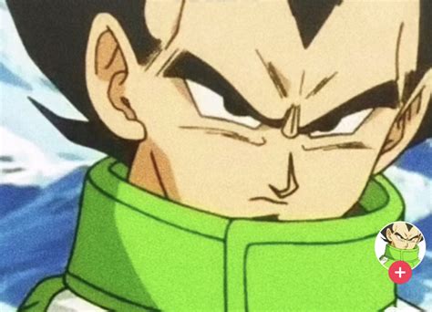 What Is The Vegeta Cult Why Everyone Has Green Jacket Profile Pictures