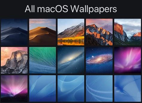 Download Every Macos Default Wallpaper From Past 17 Years 5k