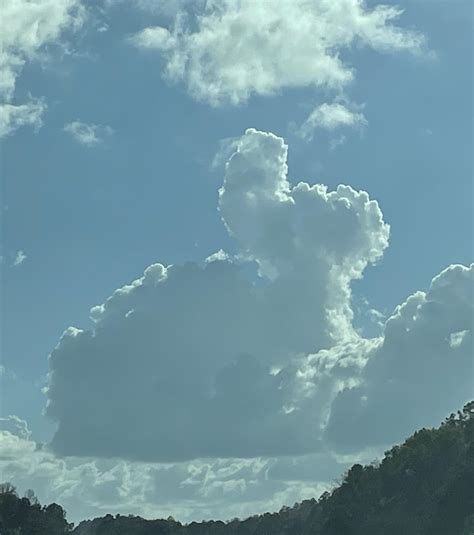 This Cloud That Kinda Looks Like A Rabbit R Mildlyinteresting