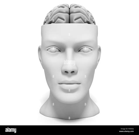 Head With Brain Hi Res Stock Photography And Images Alamy