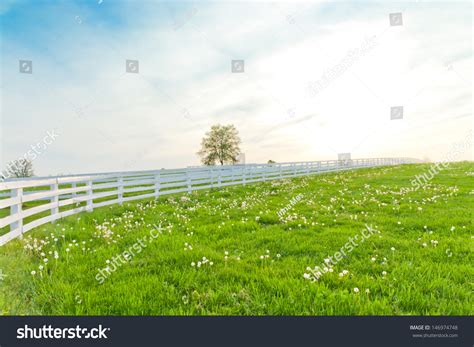 Green Pastures Horse Farms Country Spring Stock Photo Edit Now