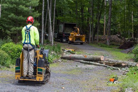 Interested in visiting hamilton township in the princeton, nj region? Tree Removal Millstone Township [Remove Large Trees ...