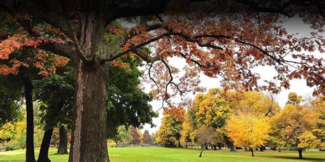 The Official Website Of Buffalo Olmsted Parks Conservancy