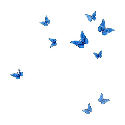 Butterfly Png Transparent Images Pictures Photos Png Arts