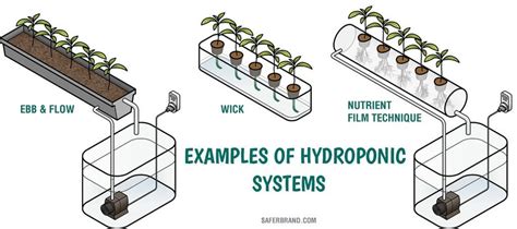 Hydroponic Growing Systems Diagram