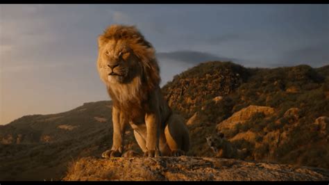 Watch The Lion King 2019 Movie Full Hd Download Sohaibxtreme