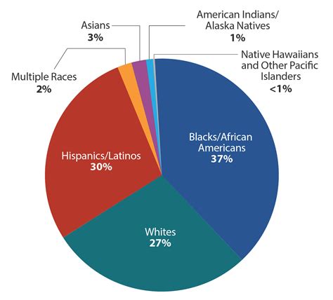 Ethnicity Pie Chart Usa Focus