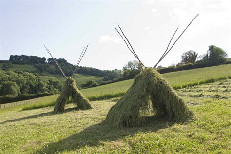 Fresh Cut Hay Drying On The Ricks By Tim Macmillan Hayfield Haystacks