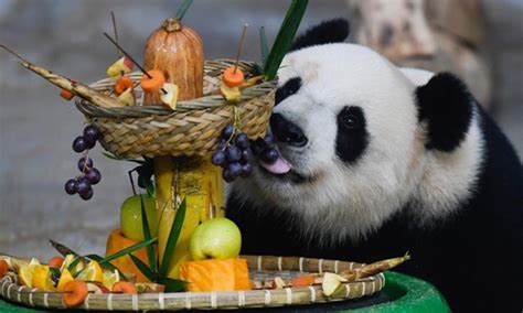 Staff Prepares Fruits Vegetables For Giant Pandas In Haikou S Chinas