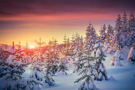 Красивые Картинки Зима Закат Telegraph