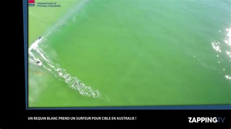 Un grand requin blanc attaque un surfeur en Australie la vidéo