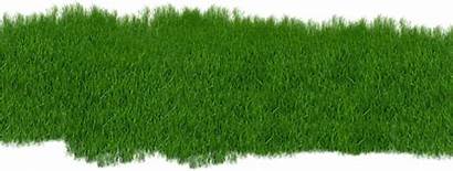 Ground Groundcover Clipart Hill Clip Transparent Lawncare