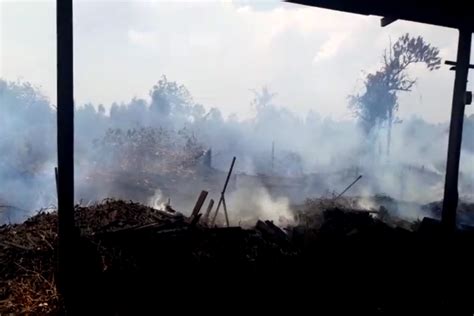 Foto Pembakar Lahan Di Kalsel Jadi Tersangka Di Antaranya Korporasi
