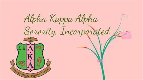 5 Sample Recommendation Letters For Aka Sorority Inc Pnms
