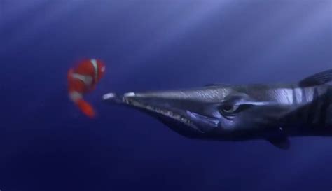 Primera sesión "Buscando a Nemo" timeline | Timetoast ...