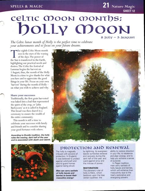 Enhancing Mind Body Spirit 21 Nature Magic Card 12 Celtic Moon Months