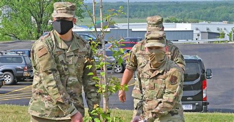 911 Memorial Survivor Tree Planted At Eads News