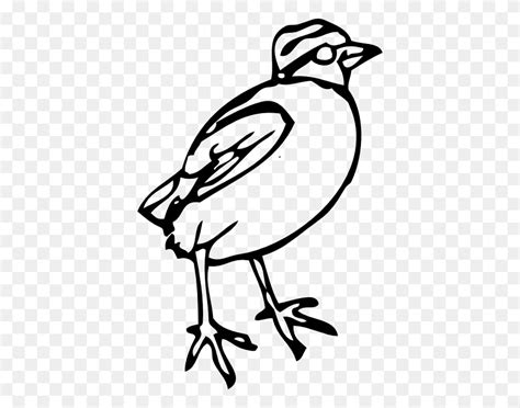 Bird Stencils Free Printable Profile Of A Bird Clip Art Bird White