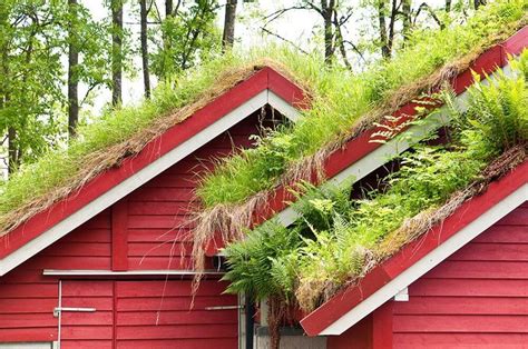 25 Amazing Buildings With Green Roof Designs Pictures In 2020 Green