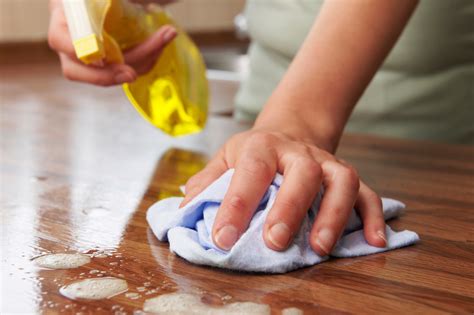Expert Guide How To Clean Your House Fast Sparkle And Shine Blog