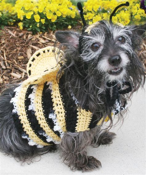 100 Best Images About Free Pet Crochetknit Patterns On Pinterest