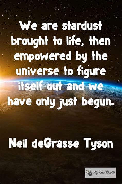 Neil Degrasse Tyson Quotes Stardust