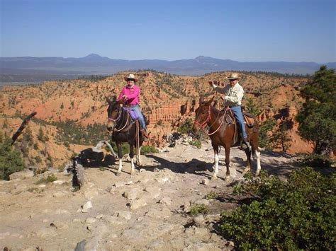 The 10 Best Utah Horseback Riding Tours Updated 2024
