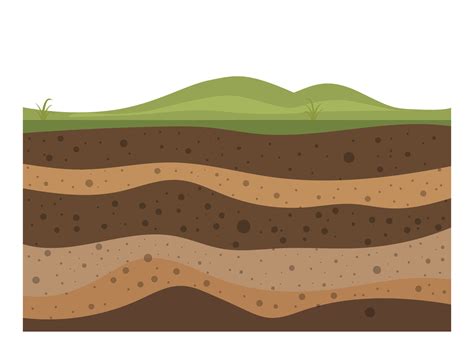 Layers Of Grass With Underground Layers Of Earth 11156822 Vector Art At