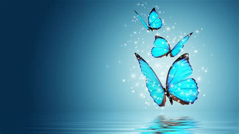 Blue Butterflies Fly Above Body Of Water With Reflection Hd Butterfly
