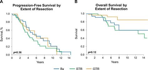 Progression Free And Overall Survival By Extent Of Resection A Pfs By